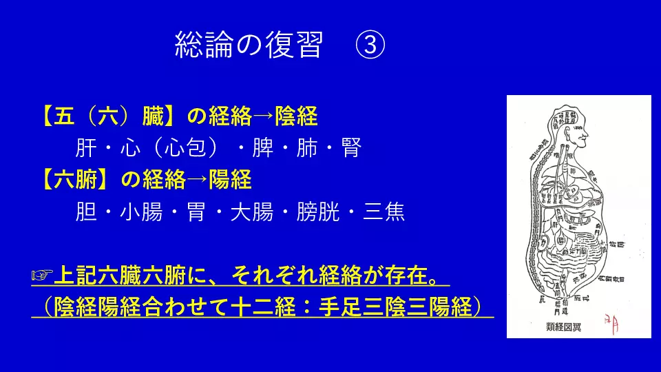 東洋医学へのいざない 生理学編② 臓腑経絡学の世界（肺・大腸） | Dr
